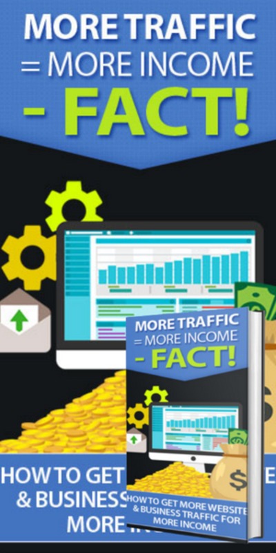 Product picture GET MORE TRAFFIC TO YOUR WEBSITE AND BUSINESS.